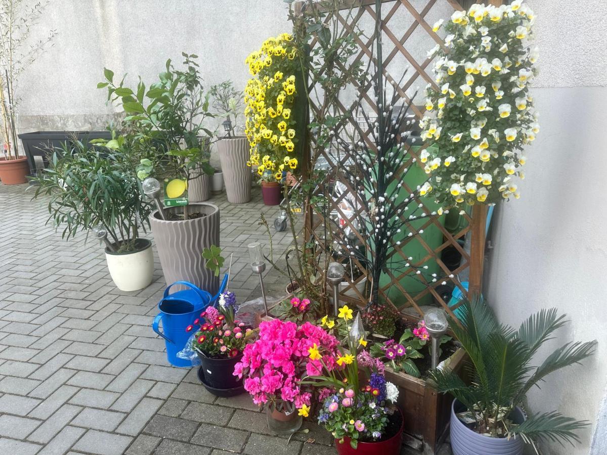 Kaethe-kollwitz - Strasse 54, F3 Apartment